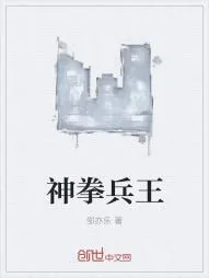 《神拳兵王》小说封面