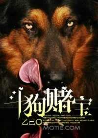 《斗狗赌宝》小说封面