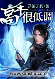 《高手很低调》小说封面
