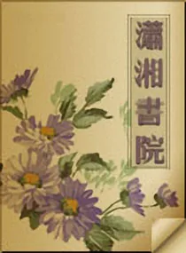 《爷要抓狂之将女宠妃》小说封面