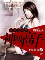 《极品总裁的神级高手》小说封面