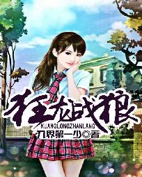 《狂龙战狼》小说封面