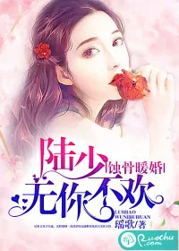 《蚀骨暖婚：陆少，无你不欢》小说封面
