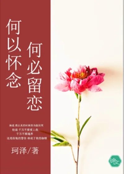 《何以怀念，何必留恋》小说封面