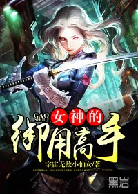 《女神的御用高手》小说封面