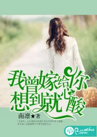 《我曾嫁给你，想到就心酸》小说封面