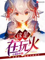 《这是在玩火》小说封面