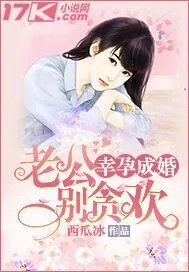 《幸孕成婚：老公别贪欢》小说封面