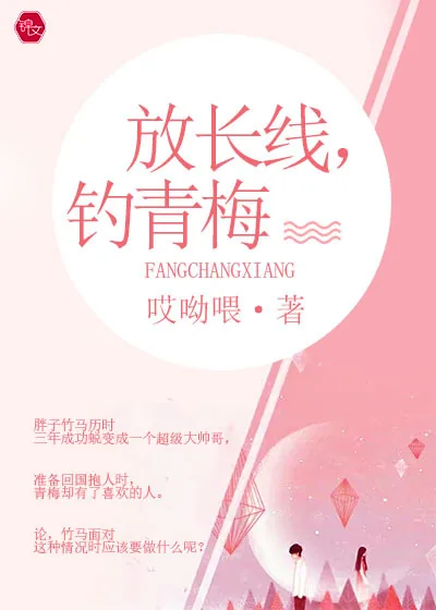 《放长线，钓青梅》小说封面
