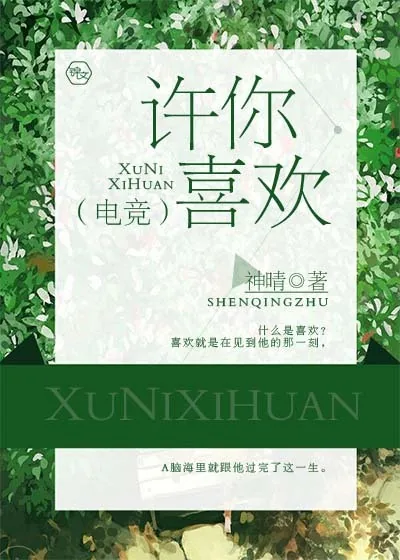 《许你喜欢（电竞）》小说封面