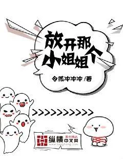 《放开那个小姐姐》小说封面
