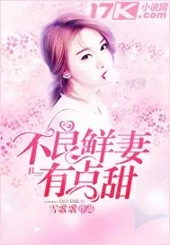 《不良鲜妻有点甜》小说封面