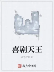 《喜剧天王》小说封面