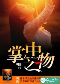 《掌中之物》小说封面