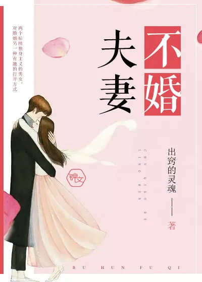 《不婚夫妻》小说封面