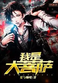 《我是大菩萨》小说封面