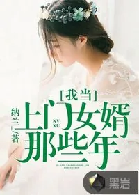 《我当上门女婿那些年》小说封面