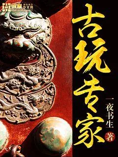 《古玩专家》小说封面