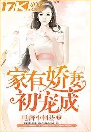 《家有娇妻初宠成》小说封面