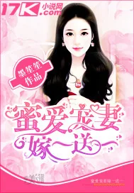 《蜜爱宠妻嫁一送一》小说封面