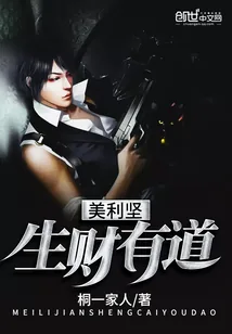《美利坚生财有道》小说封面