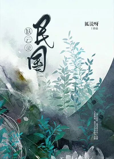 《民国妖云录》小说封面