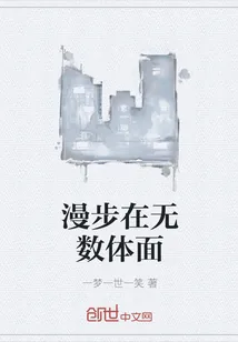 《漫步在无数体面》小说封面