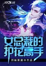 《女总裁的护花高手》小说封面