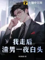 《我走后，渣男一夜白头》小说封面