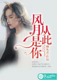 《从此风月是你》小说封面