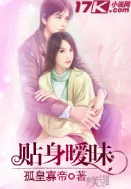 《贴身暧昧》小说封面