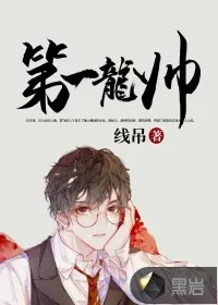 《第一龙帅》小说封面