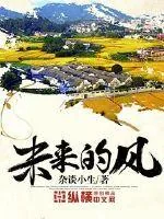 《未来的风》小说封面