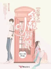 《反穿之全能小厨娘》小说封面