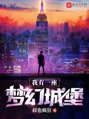 《我有一座梦幻城堡》小说封面