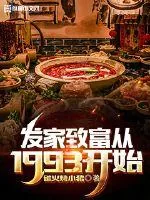 《发家致富从1993开始》小说封面