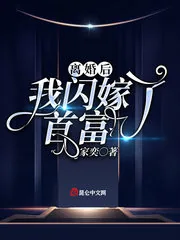 《前妻的绯闻》小说封面