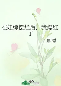 《在娃综摆烂后，我爆红了》小说封面