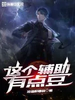 《这个辅助有点豆》小说封面