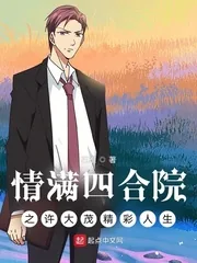 《情满四合院之许大茂精彩人生》小说封面
