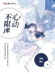 《不限速心动》小说封面