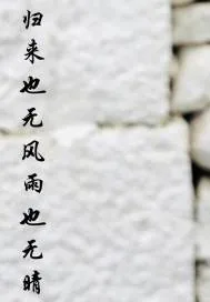《归来也无风雨也无晴》小说封面