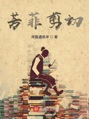 《芳菲剪切》小说封面
