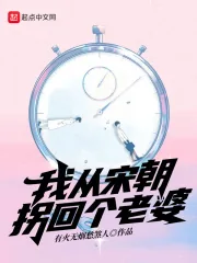 《我从宋朝拐回个老婆》小说封面