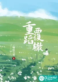 《重蹈覆辙》小说封面