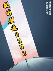《我的重返2002》小说封面