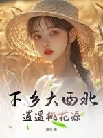 《下乡大西北，逍遥桃花源》小说封面