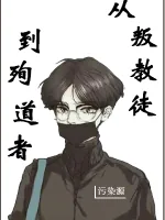 《从叛教徒到殉道者》小说封面