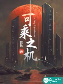 《可乘之机》小说封面