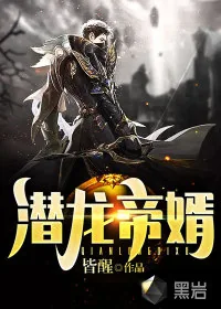 《潜龙帝婿》小说封面